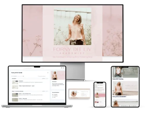 Prima Vida's Online univers